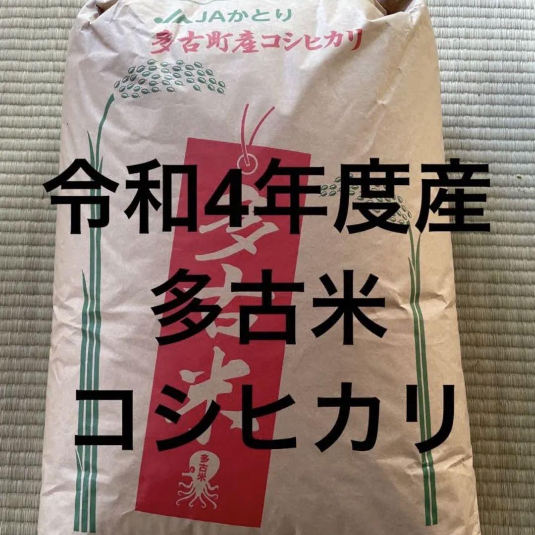 幻の米 多古米 コシヒカリ 玄米 20kg - 米どこで 買える か