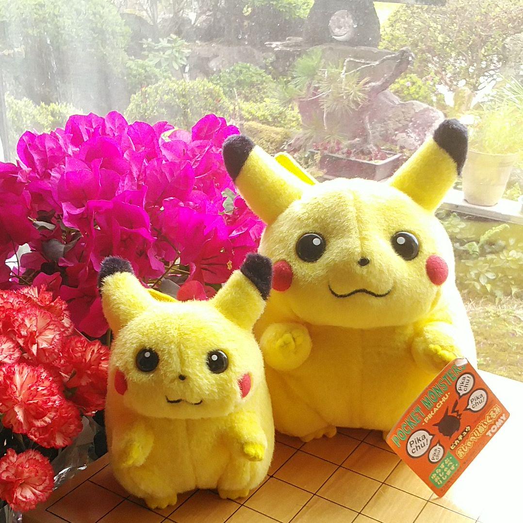 海外 取り寄せ ピカチュウ おしゃべりぬいぐるみ ぬいぐるみ 初期 レア モコモコ フカフカ セール実施中 Www Cabugao Gov Ph