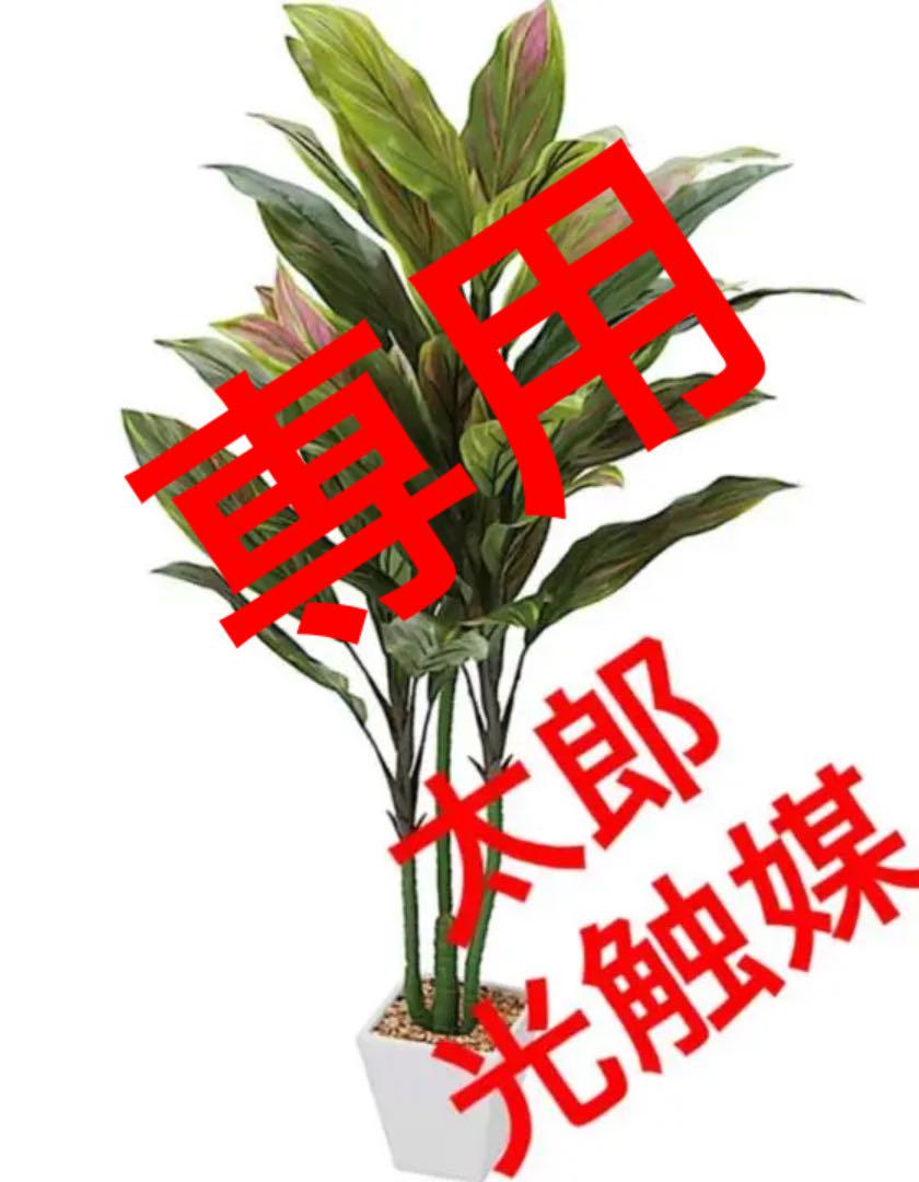 光触媒　人工観葉植物　ウォールグリーン　フェイク　フラワー　コルジリネ110