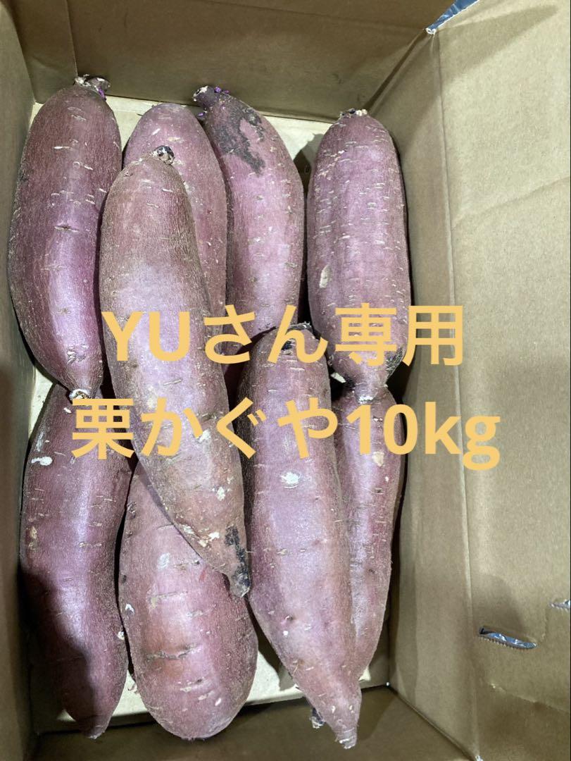 YUさん専用栗かぐや L 10kg