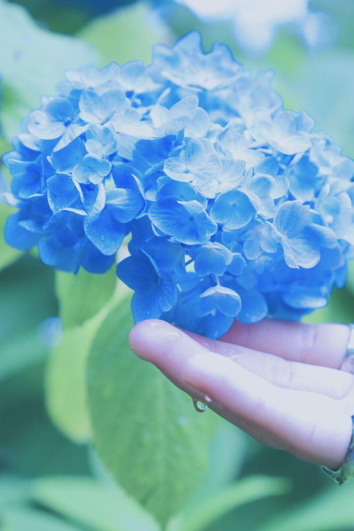 Canon EOS 5DMark III ➕Canon EF50mm f1.8