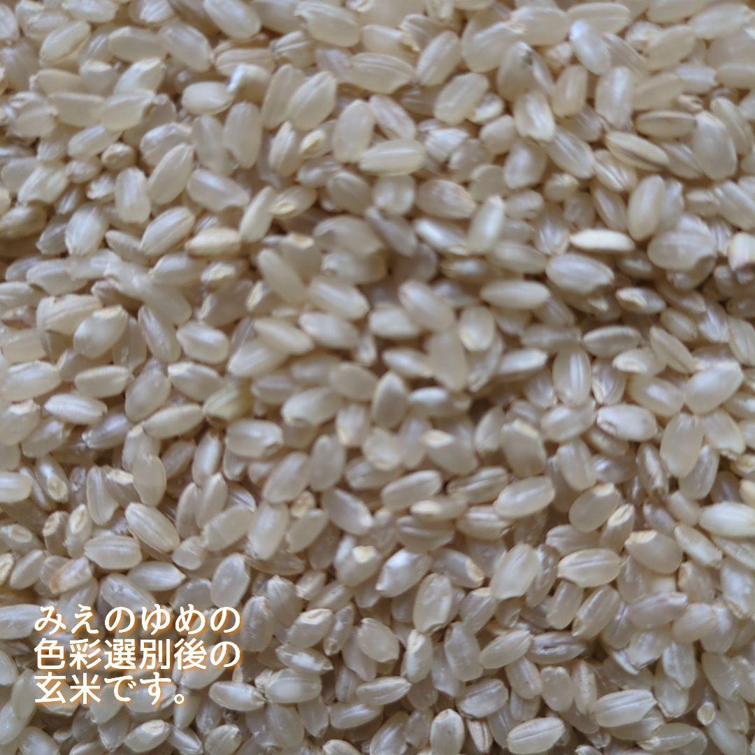 令和6年産三重県伊賀市産みえのゆめ20㎏白米( 送料 精米料 消費税込)