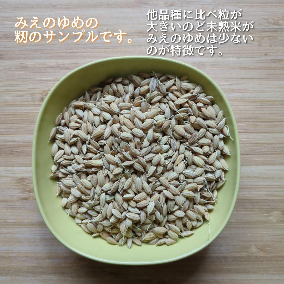 令和6年産三重県伊賀市産みえのゆめ20㎏白米( 送料 精米料 消費税込)