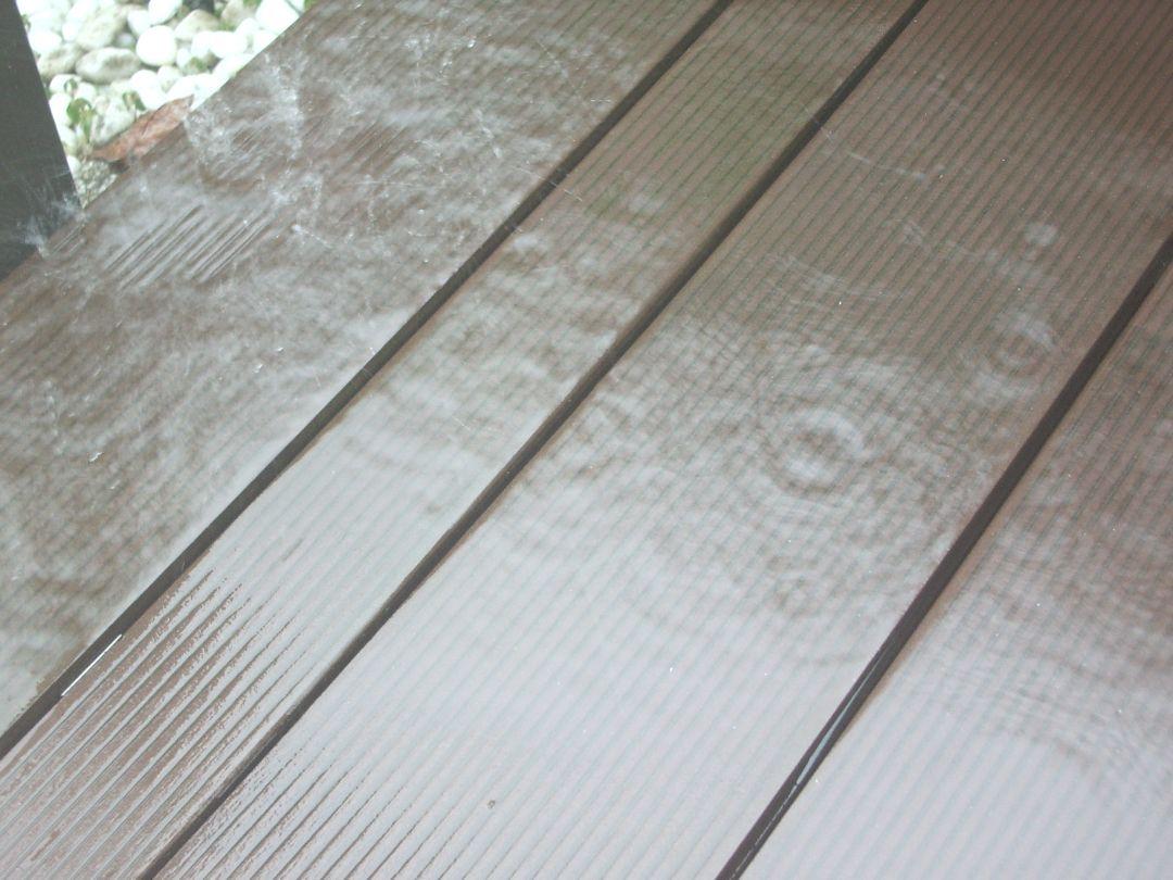 作例あり　ペンタックス PENTAX OPTIO S40　単三電池