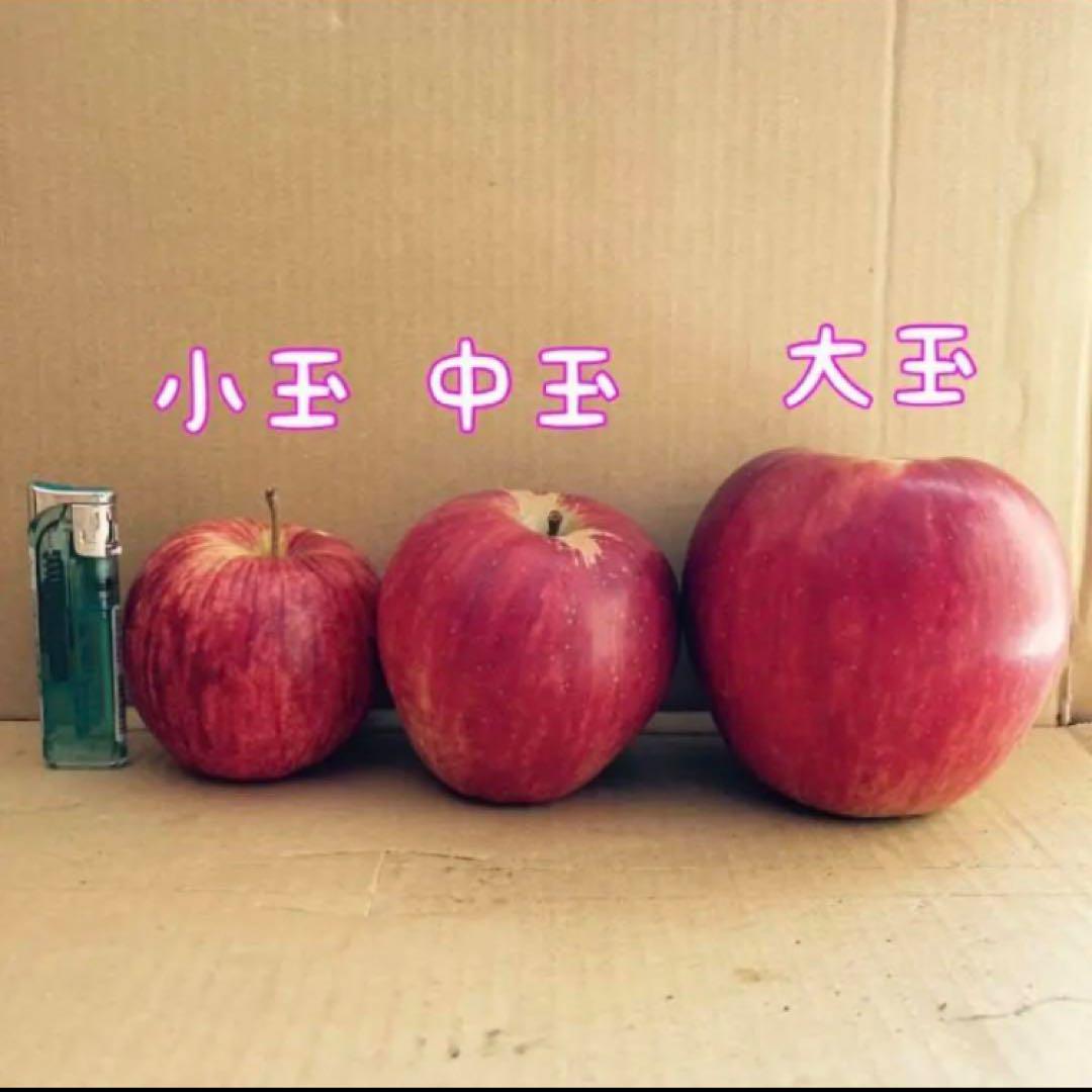 青森県産　A級品　大玉　サンふじ　6キロ