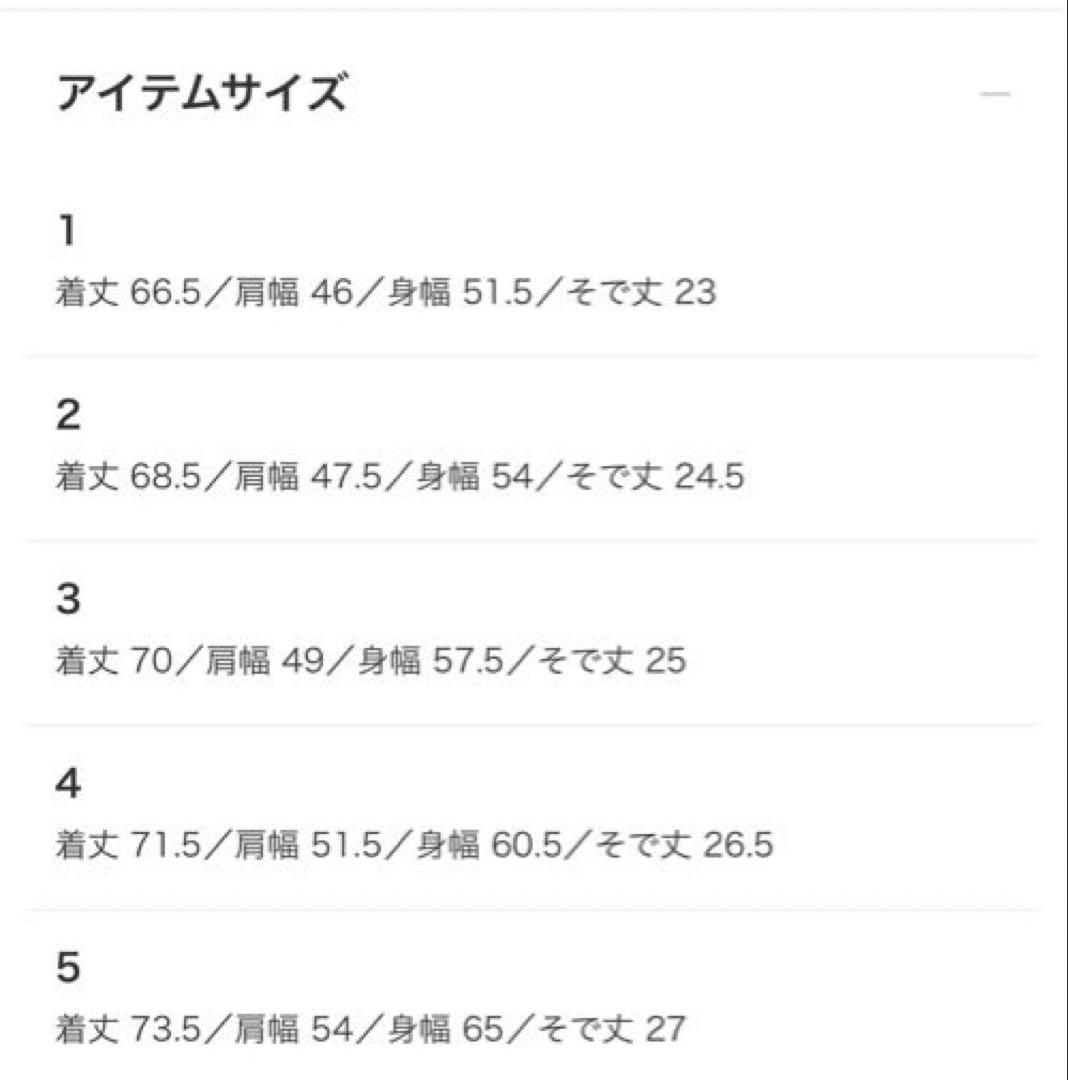 【新品未使用】ビームス別注LACOSTE ポロシャツ サイズ２