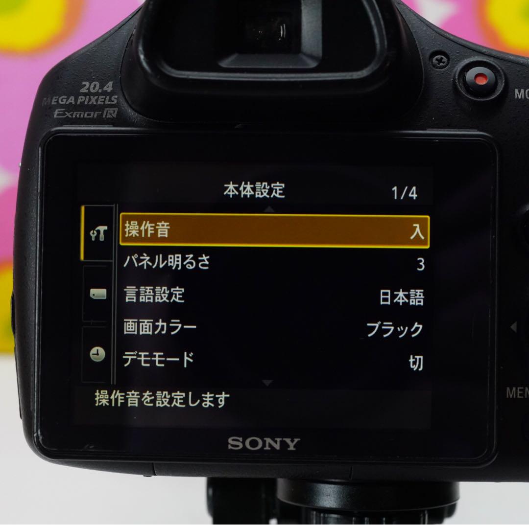 HX300V❤️月や野球撮影❤️望遠1200mmツァイス神レンズ