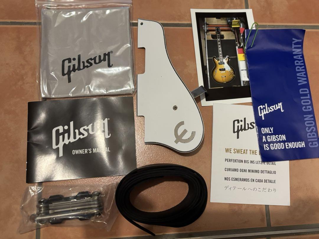 Epiphone usa casino 2021年製