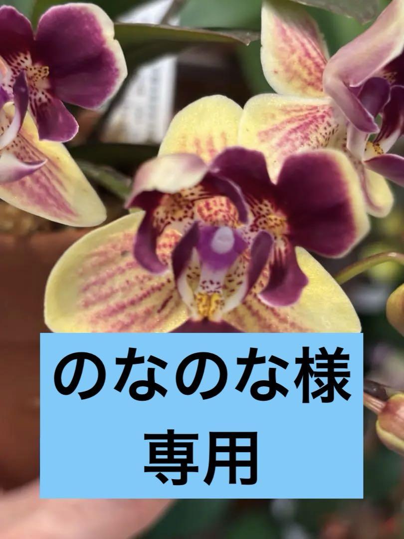 のなのな様3点まとめて