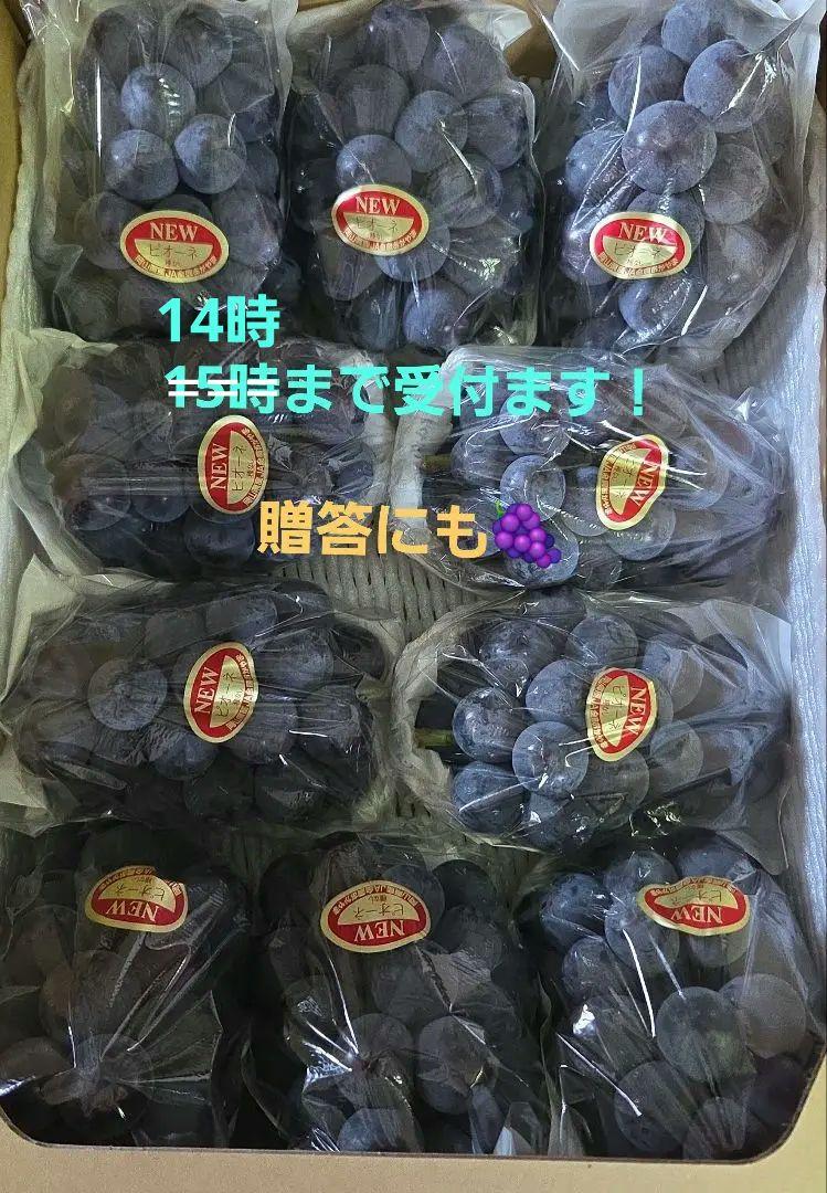 数量限定！【朝採り:農家直送】9月12日収穫分 岡山県産ピオ-ネ5kg