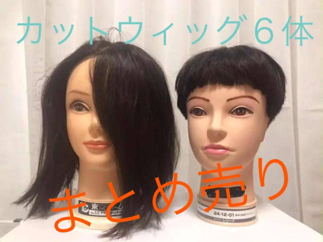 【期間限定送料無料】 カットウィッグ 12体 まとめ売り - まとめ売り