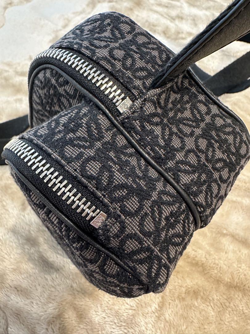 ☆Loewe☆カメラ クロスボディバッグ ミニ（サテンカーフ