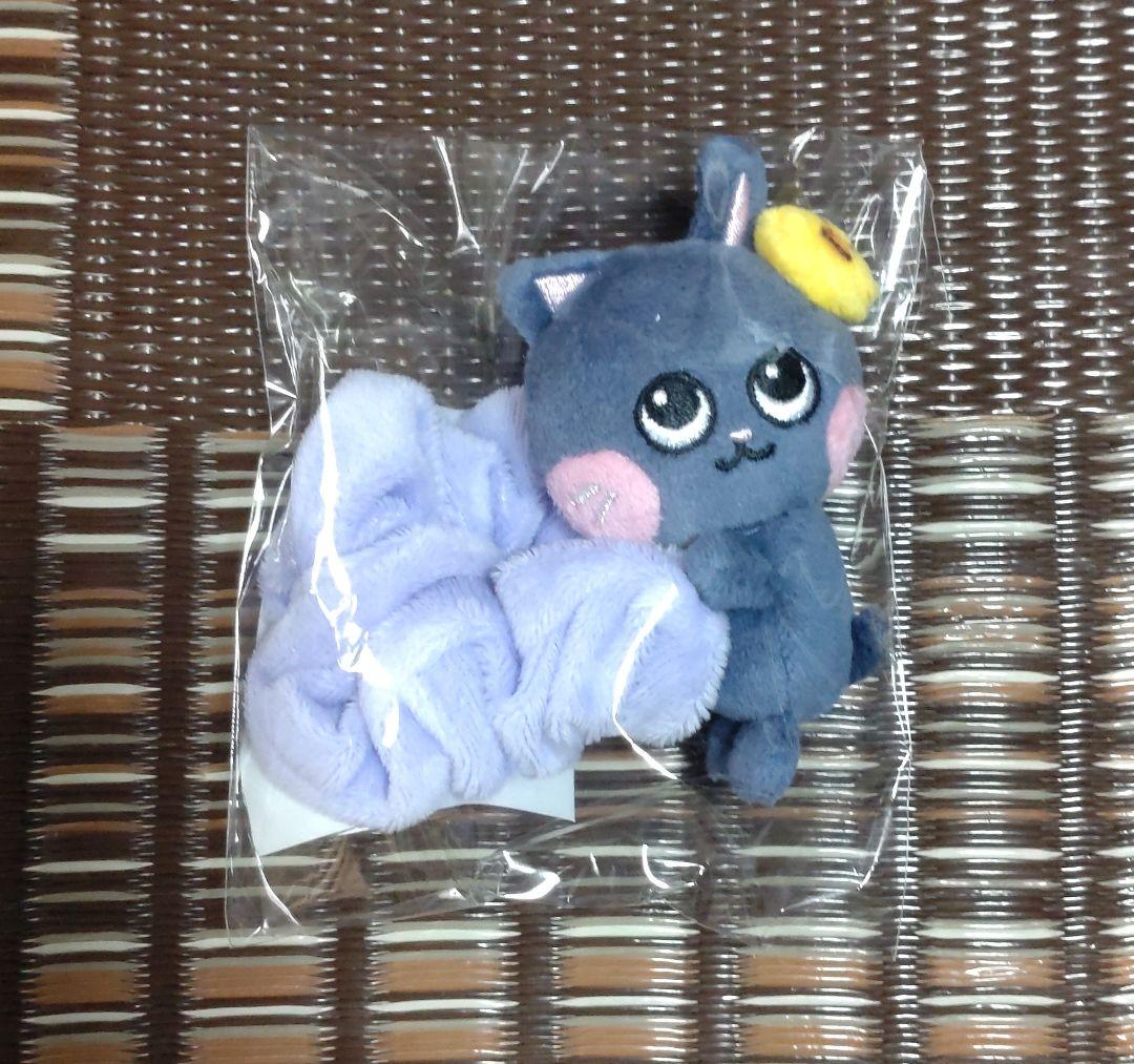 RIIZE ウォンビン トニャンドク シュシュ - メルカリ