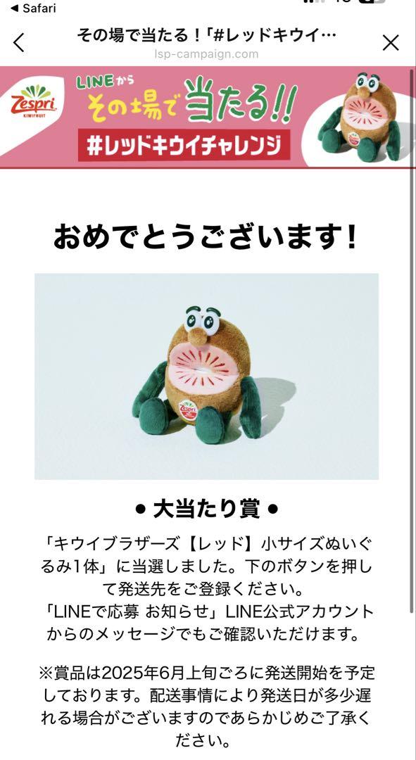 レッドキウイ　ぬいぐるみ