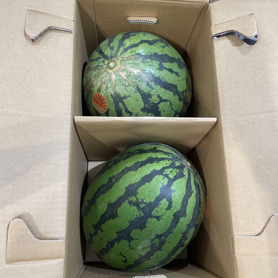 0601千葉県産丸朝大玉スイカ良品4Lサイズ1箱2玉入り果物