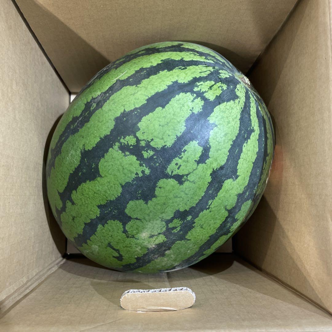 0601千葉県産丸朝大玉スイカ良品4Lサイズ1箱2玉入り