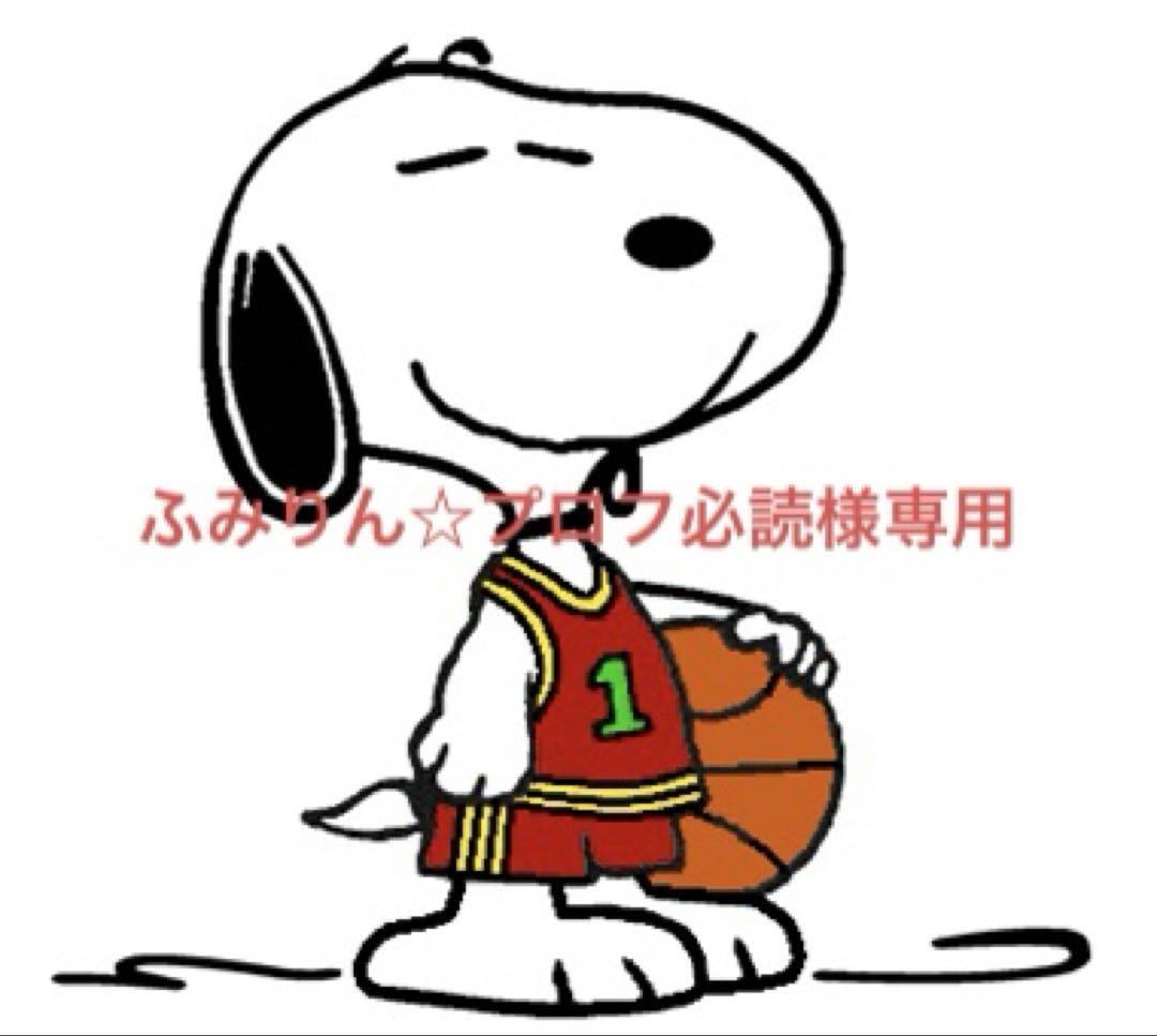 ふみりん☆プロフ必読様専用