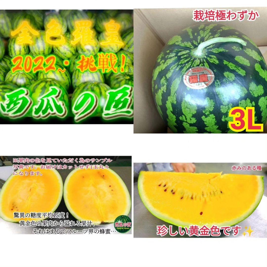 数量限定/栽培超難度品種/西瓜の匠2022〜挑戦の西瓜　お早目にどうぞ♪ 3L