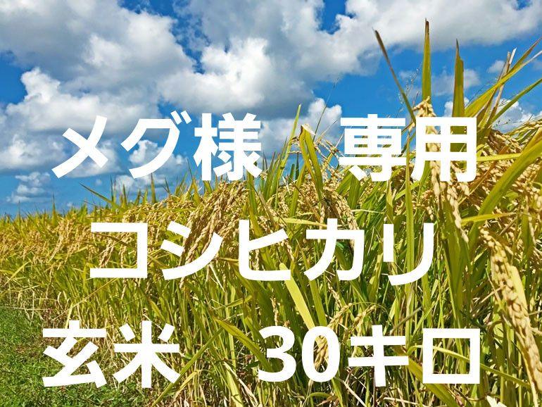 メグ様　専用　玄米