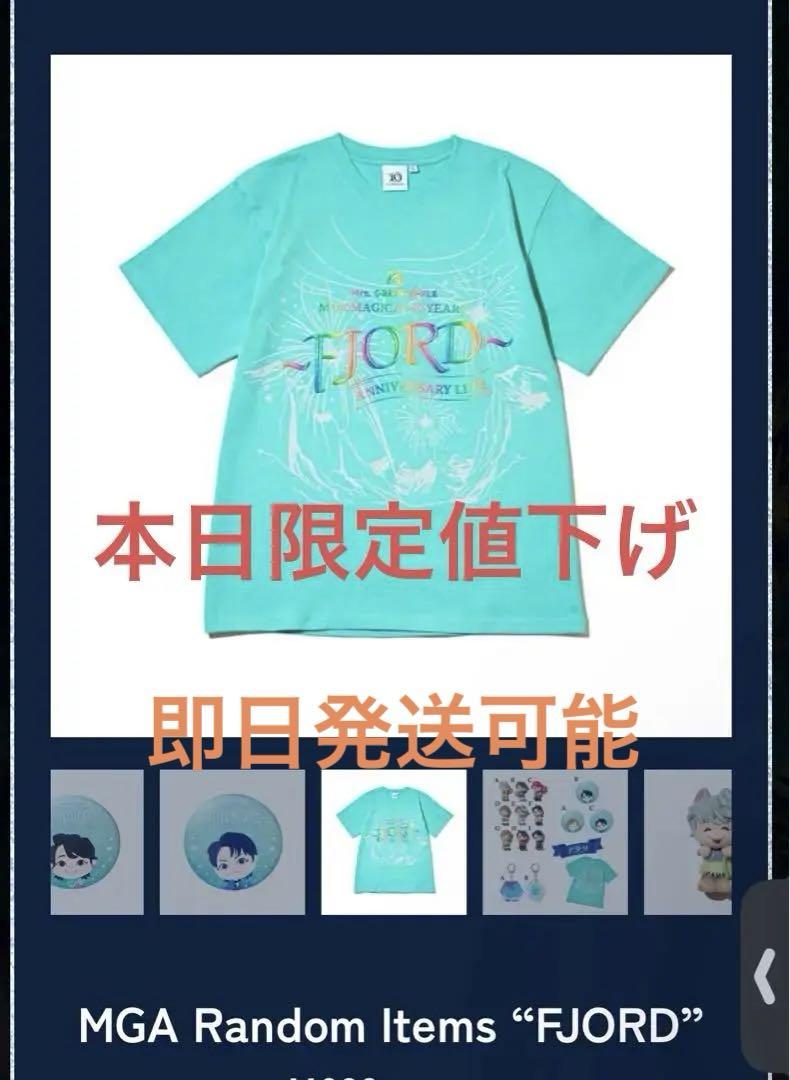 フィヨルド　あたり　Tシャツ　Lサイズ