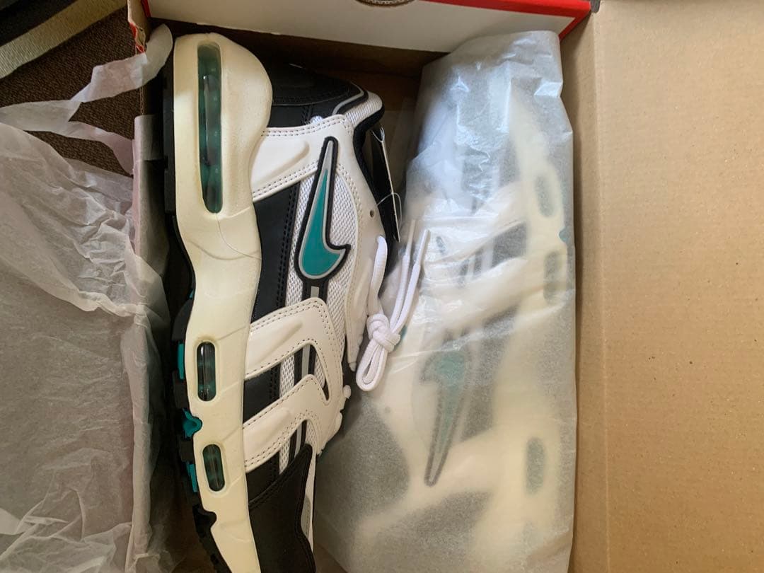NIKE エアマックス96 29cm air max 96