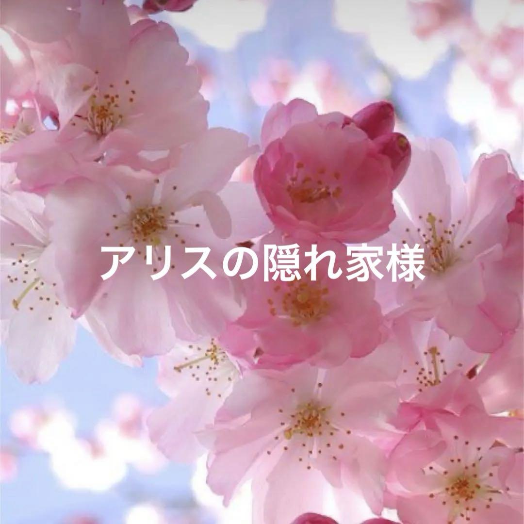 アリスの隠れ家様専用
