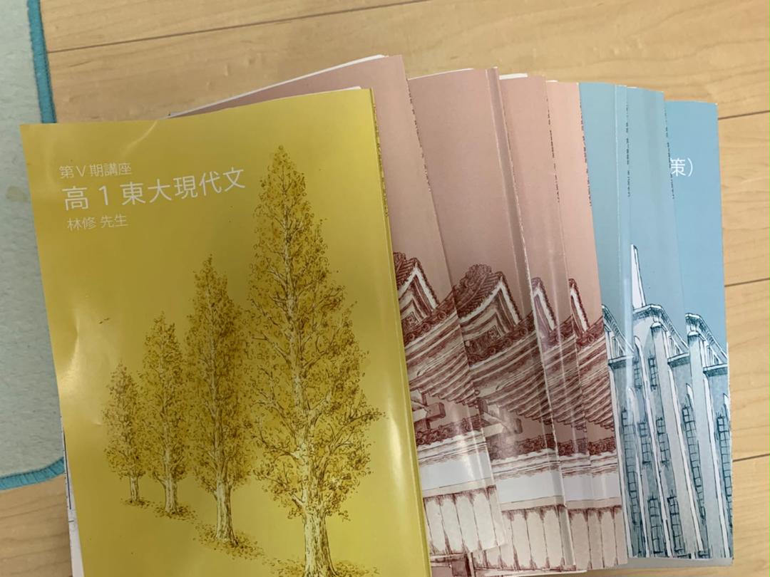 買取り実績 参考書-東大特進 東大現代文 林修先生 - ugelparuro.gob.pe