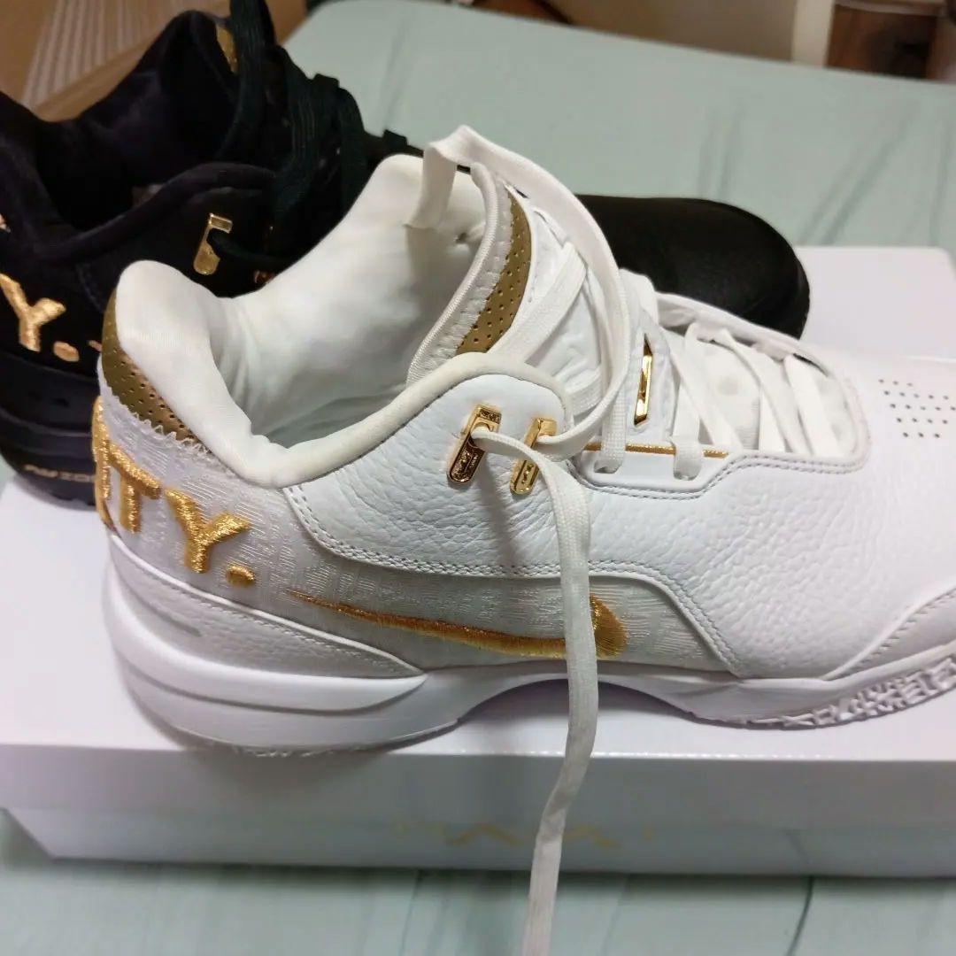 ナイキ　レブロン　LEBRON NXXT GEN AMPD EP