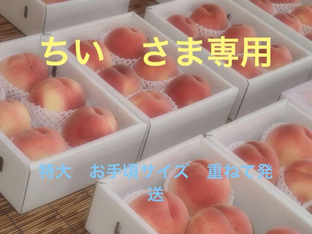 山梨の甘い桃　お手頃サイズを6個詰めて発送 人気商品