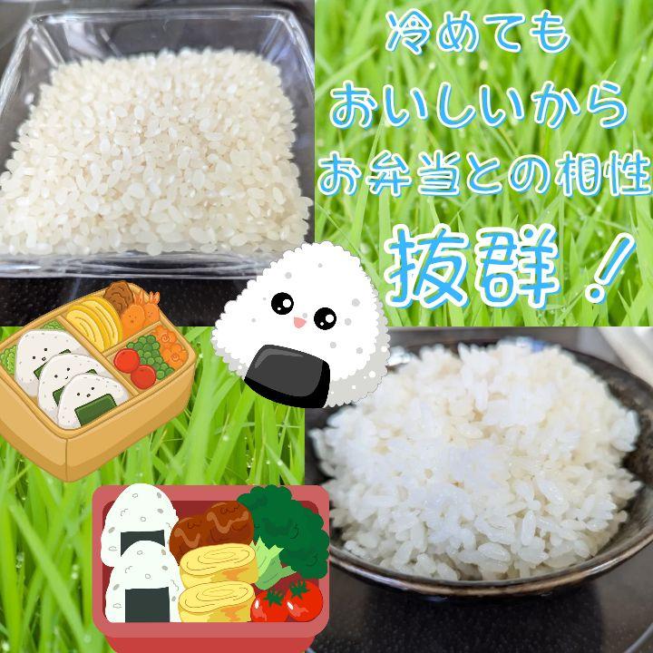 【新米】ほしのゆめ 玄米20kg【北海道】9/18~19発送予定