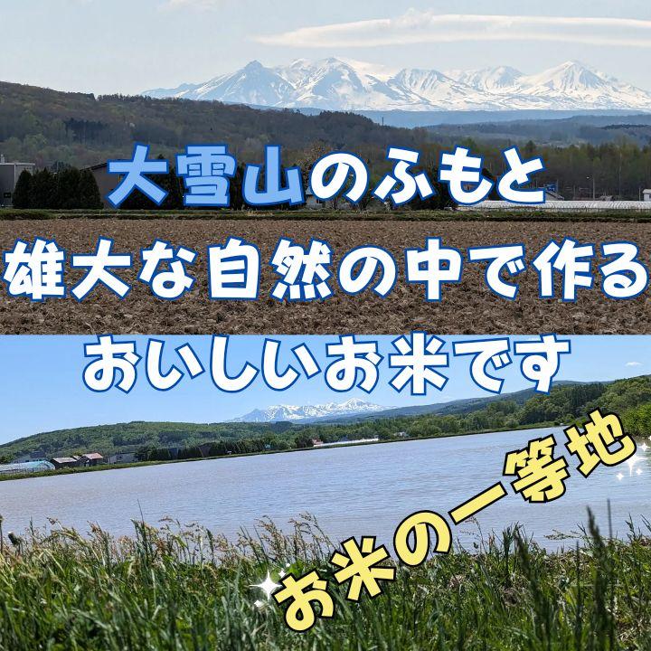 【新米】ほしのゆめ 玄米20kg【北海道】9/18~19発送予定