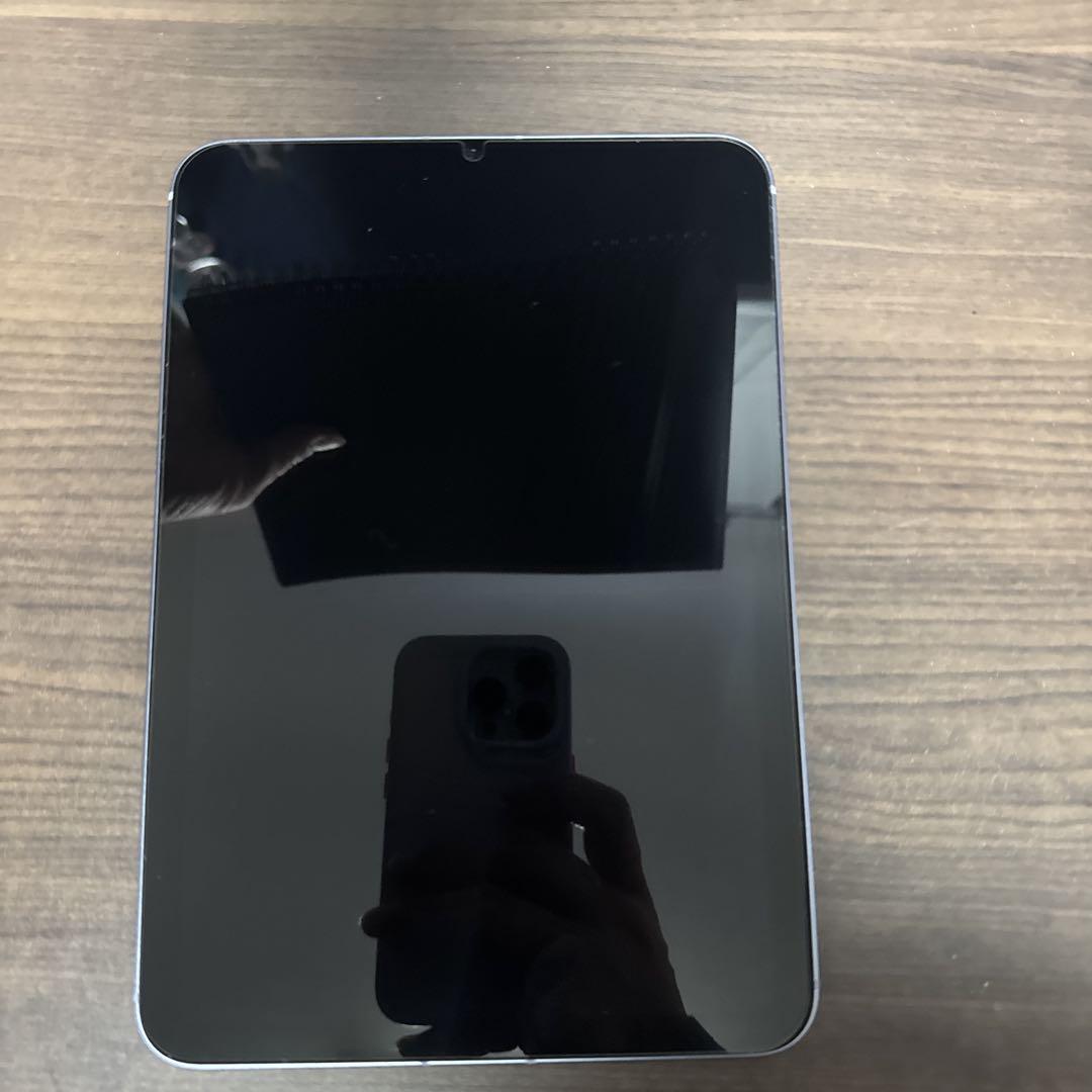mini 6