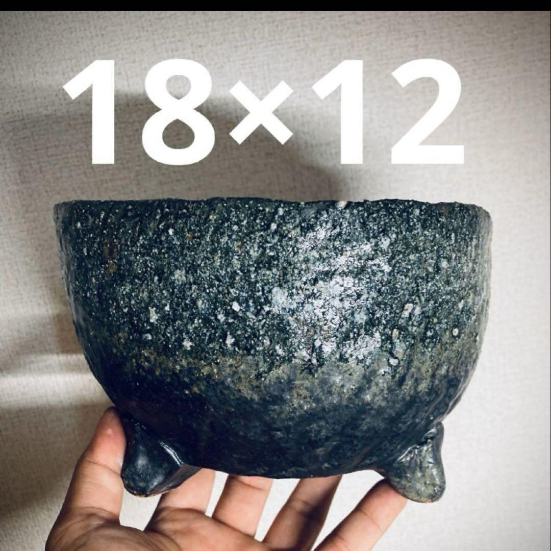 24時間以内発送　未使用美品多数　塊根•多肉•サボテン