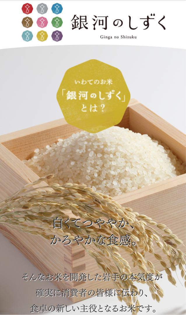 米　白米【岩手県産銀河のしずく10kg】 5kg×2 7年連続特A評価！