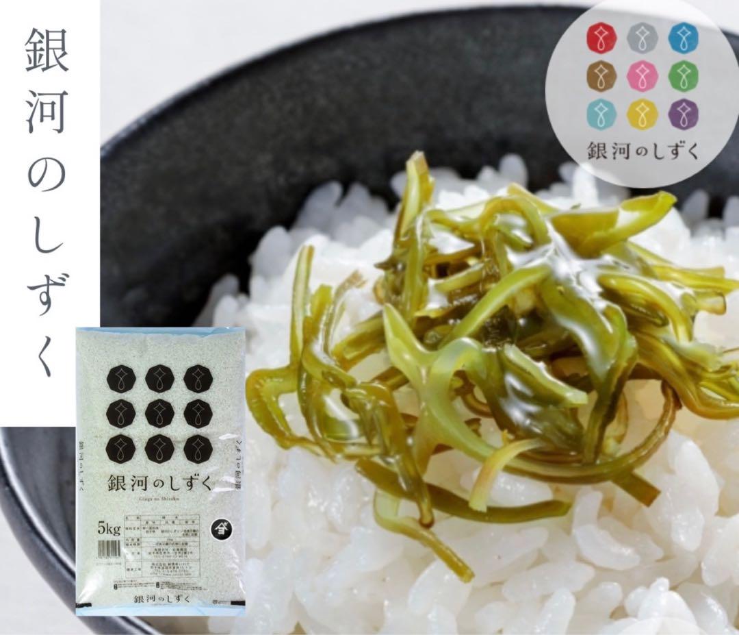 米　白米【岩手県産銀河のしずく10kg】 5kg×2 7年連続特A評価！