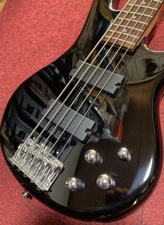 春新作の ケース付 4弦 SDGR』 『IBANEZ 【最終値下げ】エレキベース