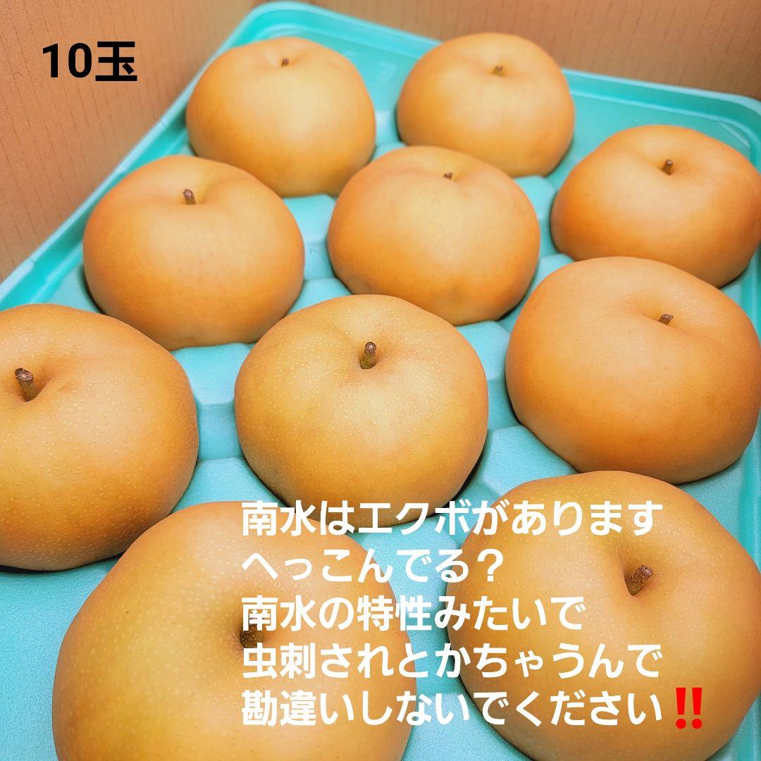 南水 ° ° ‼️ mlQ89-m40231654391 10キロ ストックどうぞ 大特価即納