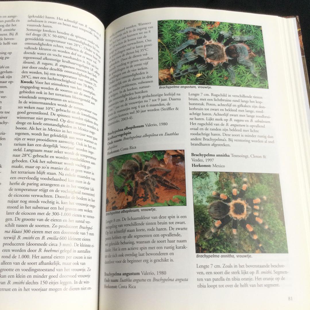 タランチュラ ドイツ語 蜘蛛 洋書 スパイダー Spider 飼育 図鑑