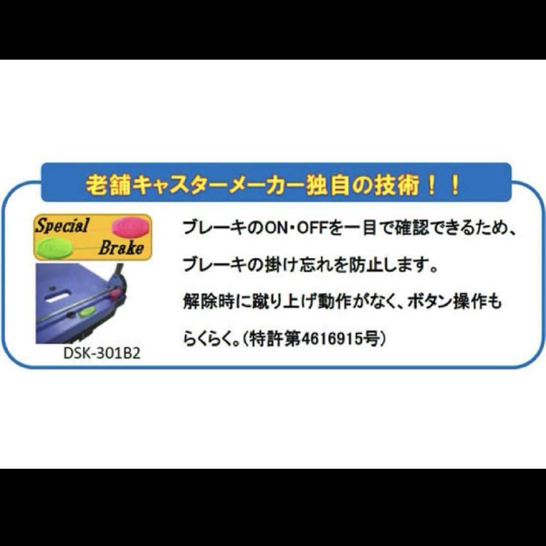 DSK-301B2