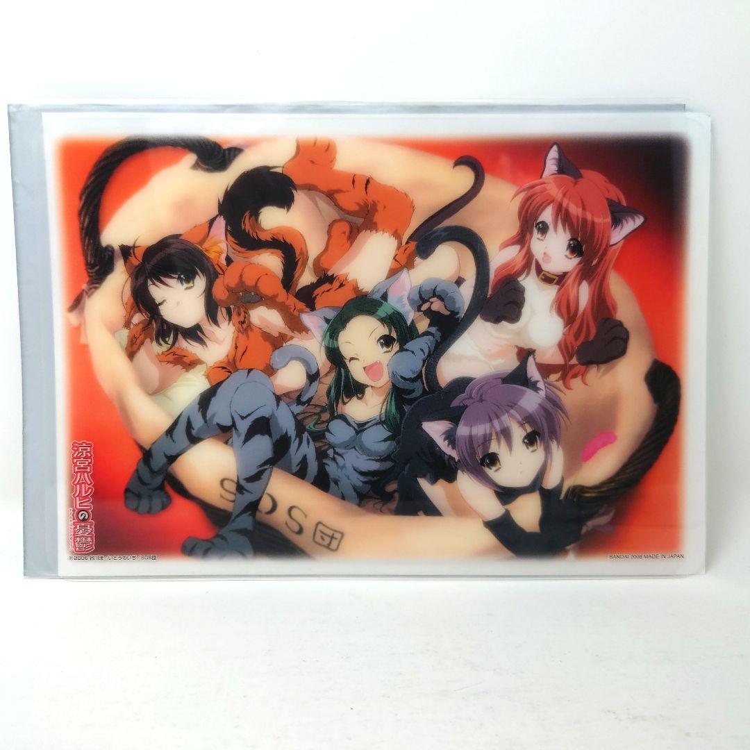 ジャンボカードダスEX 涼宮ハルヒの憂鬱 ハルヒ 箔押し 水着