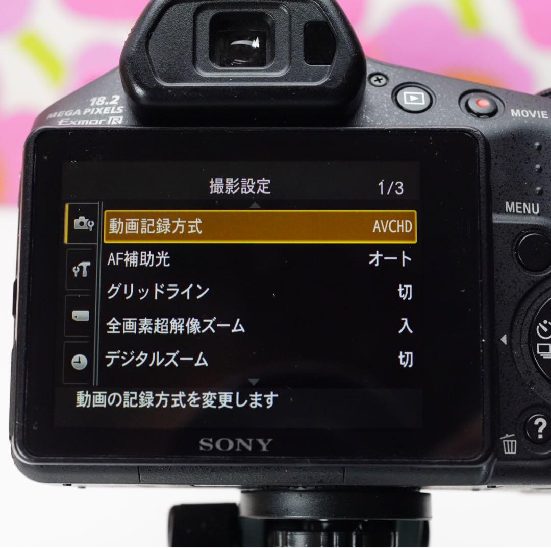 HX200V❤️ツァイス神レンズ超望遠870mm❤️野球撮影❤️スマホに写真転送