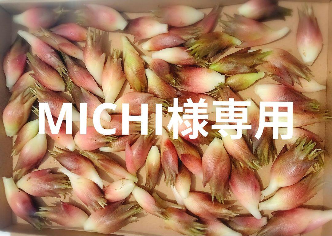 【MICHI様専用】みょうが☆茗荷☆４００g☆長崎県産