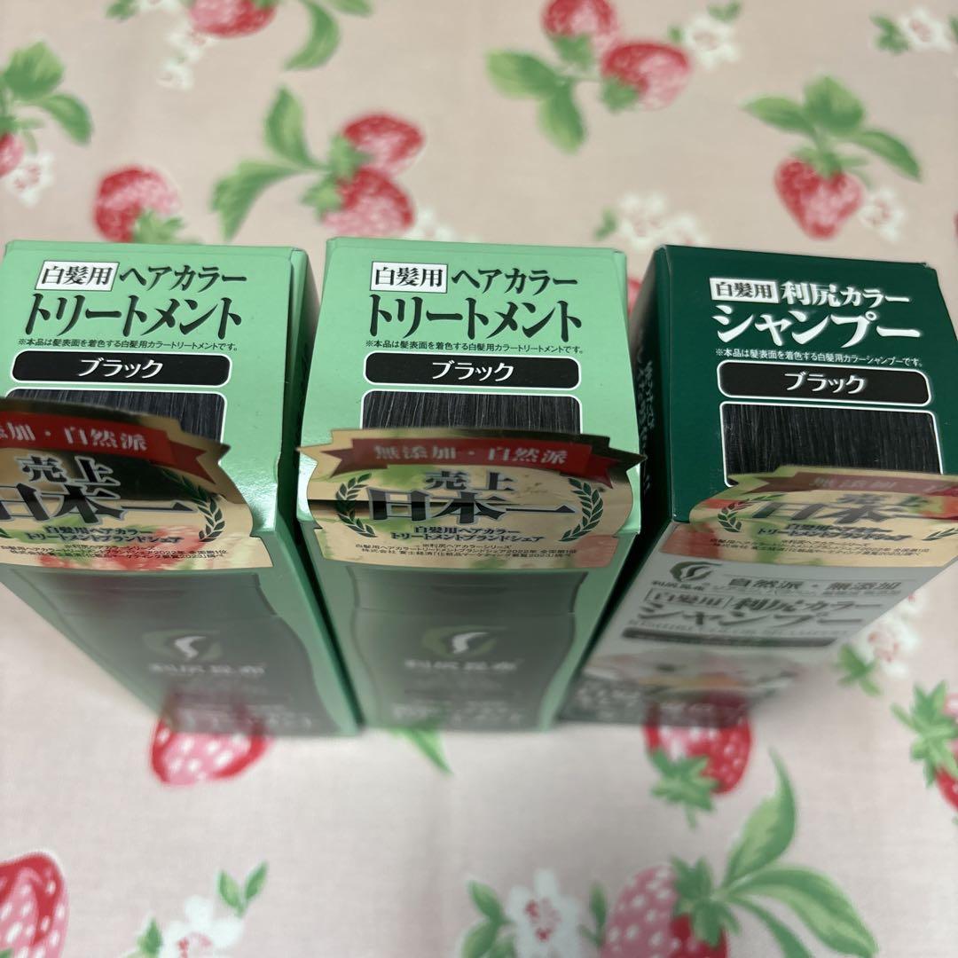 利尻ヘアカラートリートメント ブラック 200g 2本 シャンプー