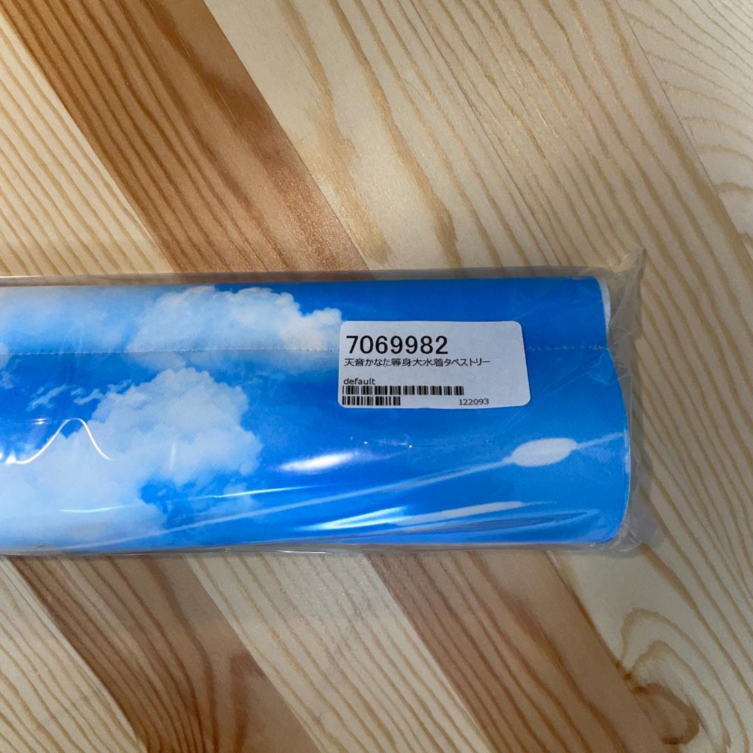 限定製作】 天音かなた 等身大水着タペストリー その他 - abacus-rh.com