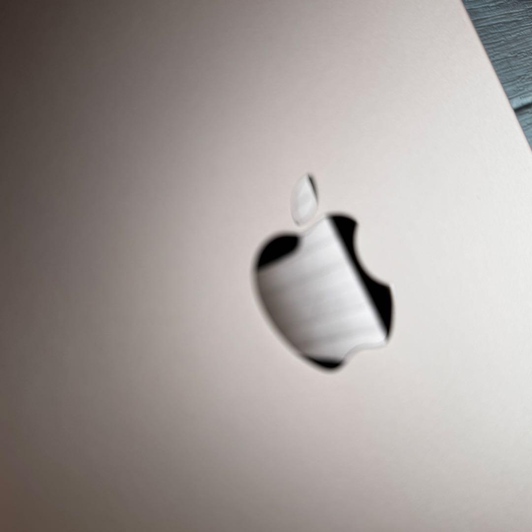 ipad mini 5 256GB ゴールド 第五世代 Apple Wi-Fi