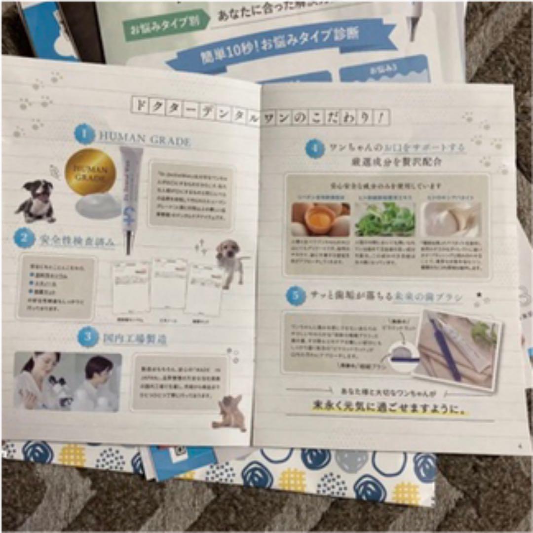 代引き手数料無料 ドクターデンタルワン 犬用品 - xn--kl-lka.no 代引き手数料無料 ドクターデンタルワン 犬用品 - xn--kl-lka.no