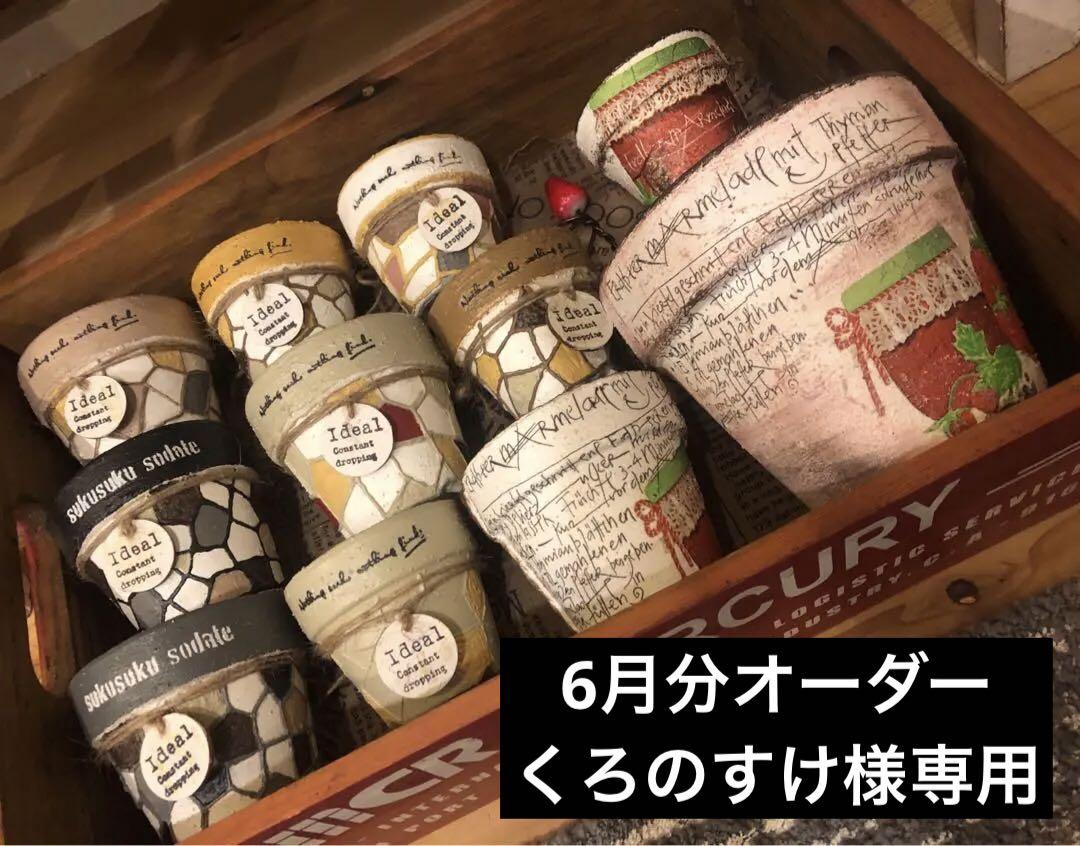 No.326 6月分オーダーくろのすけ様リメ鉢リメイク鉢おまとめ