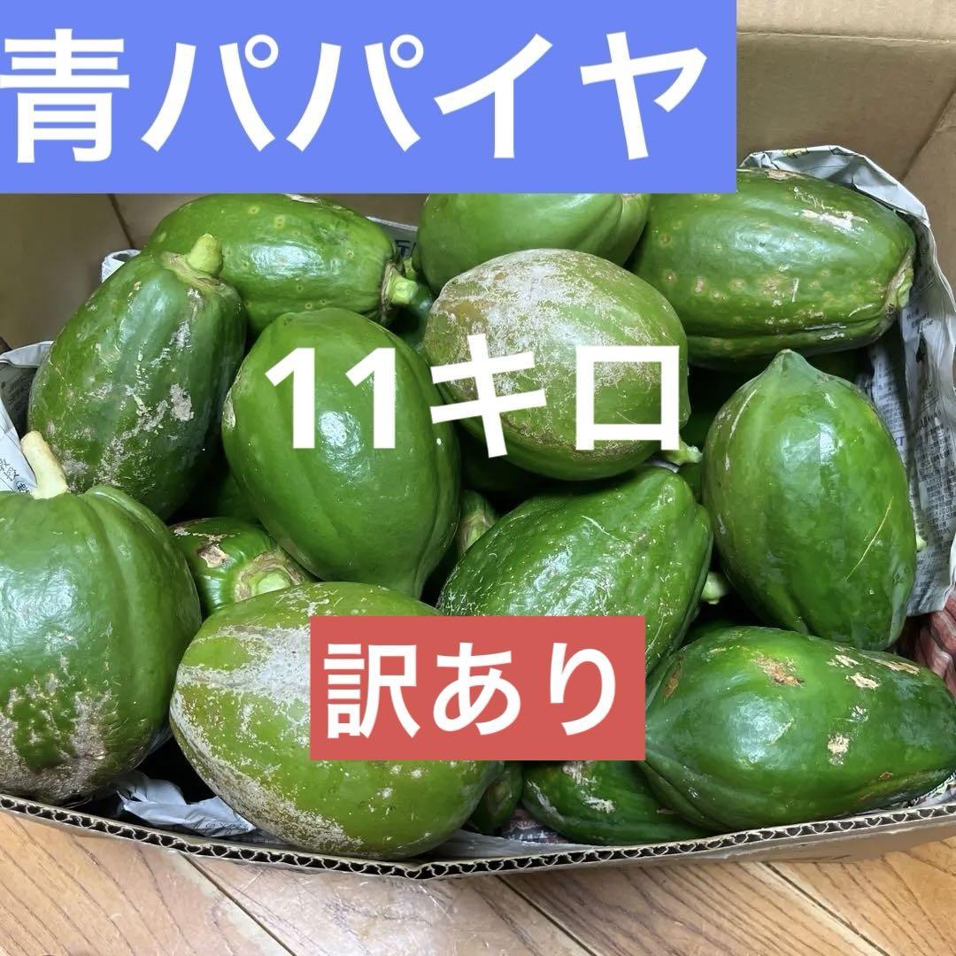 新鮮！青パパイヤ10キロ11時20分までの購入で本日発送致します。 新鮮！青パパイヤ10キロ 訳あり！11時20分までの購入で本日発送