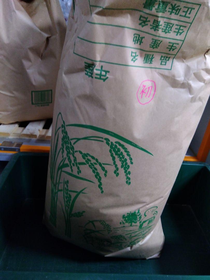 2024年度玄米20kg　和歌山県産キヌムスメ