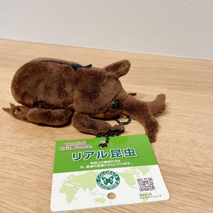 ぬいぐるみマスコット カブトムシ リアル昆虫マスコット - メルカリ ぬいぐるみマスコット カブトムシ リアル昆虫マスコット - メルカリ